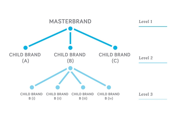 Brand Architecture (Cấu trúc thương hiệu) Là Gì?