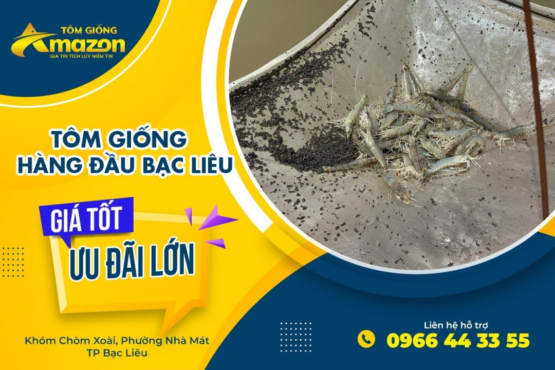 Cung cấp tôm giống uy tín chất lượng tại Bến Tre