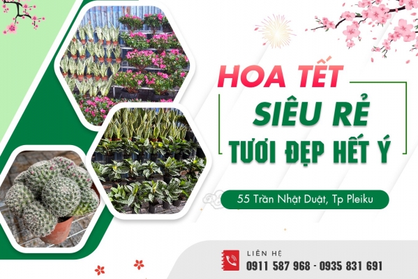 Quảng cáo facebook, quản trị fanpage cho lĩnh vực  bán hoa, cây cảnh -  Huy Hoàng Garden Gia Lai