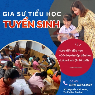 Quảng cáo facebook, quản trị fanpage cho lĩnh vực giáo dục - Gia Sư Tiểu Học Pleiku