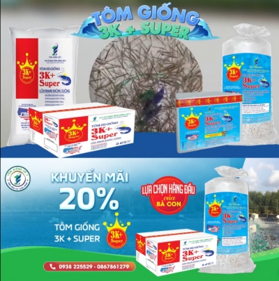 Quảng cáo facebook, quản trị fanpage cho lĩnh vực tôm giống - Công Ty Cổ Phần Tôm Giống Số 1