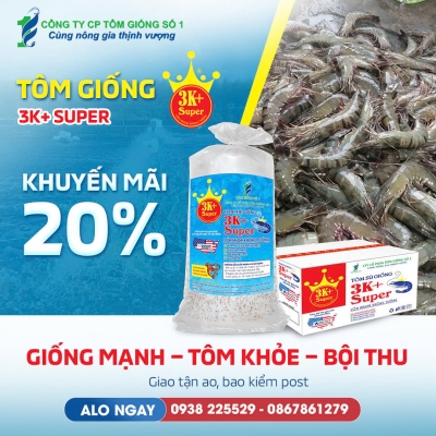 Quảng cáo facebook, quản trị fanpage cho lĩnh vực tôm giống - Công Ty Cổ Phần Tôm Giống Số 1