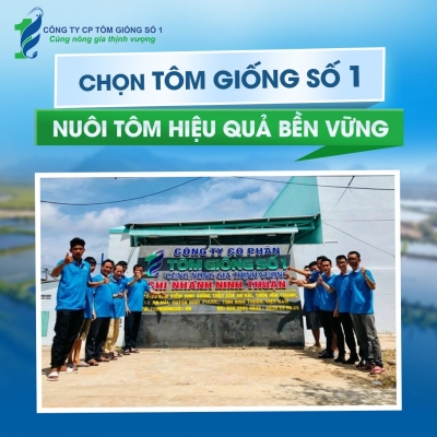 Quảng cáo facebook, quản trị fanpage cho lĩnh vực tôm giống- Tôm Giống Số 1