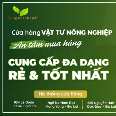 Quảng cáo facebook, quản trị fanpage cho lĩnh vực vật tư nông nghiệp - Hệ Thống VTNN Dũng Khánh Hiền