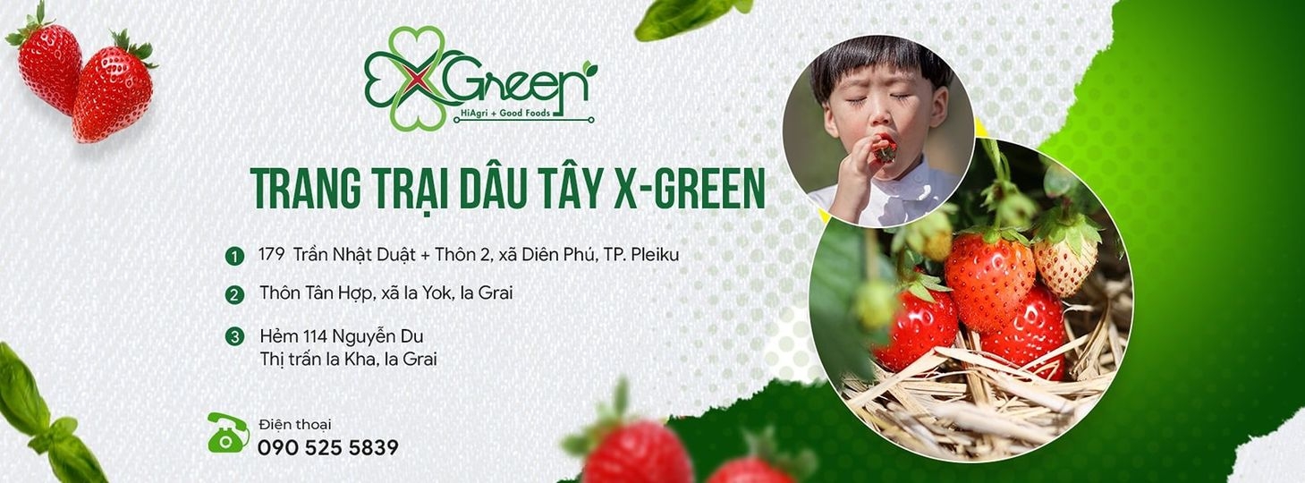 Quảng cáo facebook, quản trị fanpage cho Nông Trại Dâu tây X Green Gia Lai