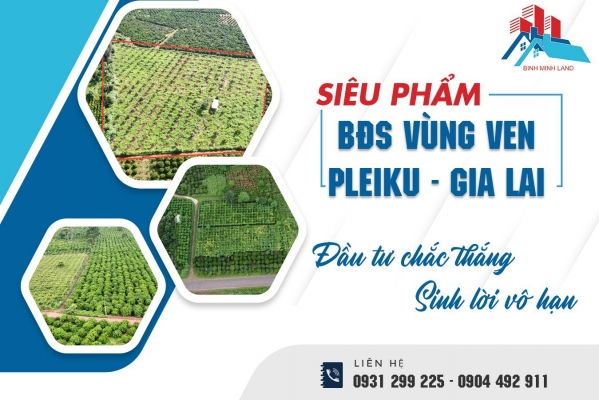 Thiết kế banner chuyên nghiệp cho lĩnh vực BĐS - Công ty Cp phát  triển địa ốc Bình Minh Group