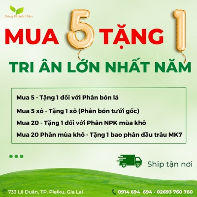 Thiết kế banner chuyên nghiệp cho lĩnh vực cung cấp phân bón - Hệ thống chi nhánh VTNN Dũng Khánh Hiền