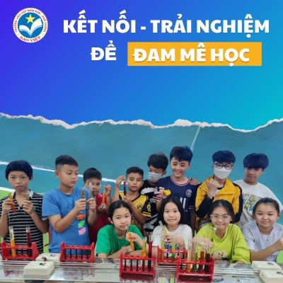 Thiết kế banner chuyên nghiệp cho lĩnh vực giáo dục - Trường TH, THCS & THPT Sao Việt