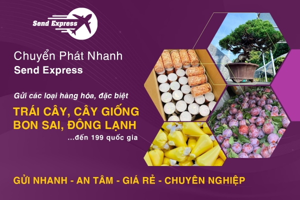 Thiết kế Banner chuyên nghiệp cho lĩnh vực giao hàng quốc tế - Công ty Tnhh Thương Mại và Dịch Vụ Send Express