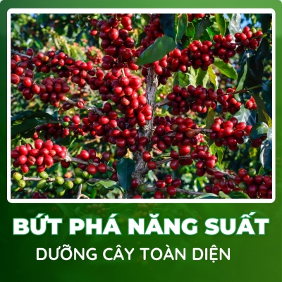 Thiết kế banner chuyên nghiệp cho lĩnh vực nông nghiệp - Vật Tư Nông Nghiệp Tân Lạc
