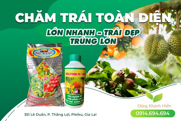 Thiết kế banner chuyên nghiệp cho lĩnh vực phân bón - Hệ thống VTNN Dũng Khánh Hiền