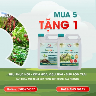 Thiết kế Banner chuyên nghiệp cho lĩnh vực phân bón - Phân Bón Trung Tây Nguyên