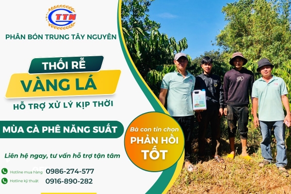 Thiết kế Banner chuyên nghiệp cho lĩnh vực phân bón - Phân Bón Trung Tây Nguyên