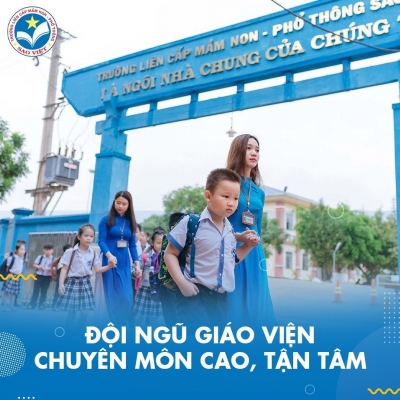 Thiết kế Banner chuyên nghiệp cho lĩnh vực trường học - Trường TH, THCS & THPT Sao Việt