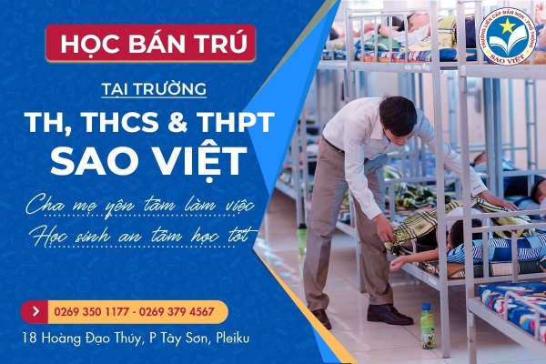 Thiết kế Banner chuyên nghiệp, cho lĩnh vực trường học - Trường TH, THCS & THPT Sao Việt