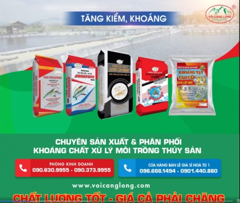 Thiết kế banner chuyên nghiệp cho lĩnh vực vôi- Công Ty Vôi Càng Long