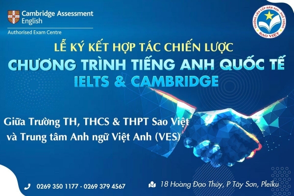 Thiết kế Banner chuyên nghiệp, uy tín, chất lượng cho lĩnh vực giáo dục - Công ty TNHH Sao Việt Gia Lai