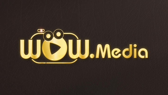 Thiết kế logo chuyên nghiệp cho lĩnh vực truyền thông- Wow. Media