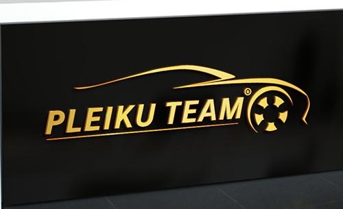 Thiết kế logo chuyên nghiệp Pleiku Team