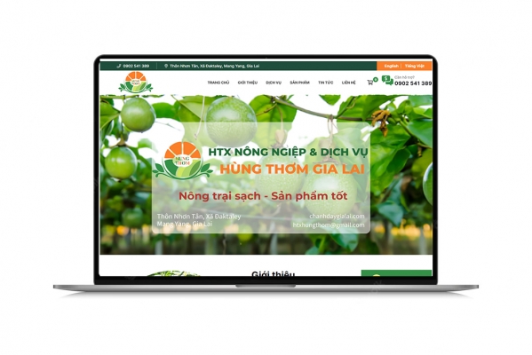 Thiết kế Website cho lĩnh vực hợp tác xã nông nghiệp - HTX nông nghiệp & dịch vụ Hùng Thơm Gia Lai